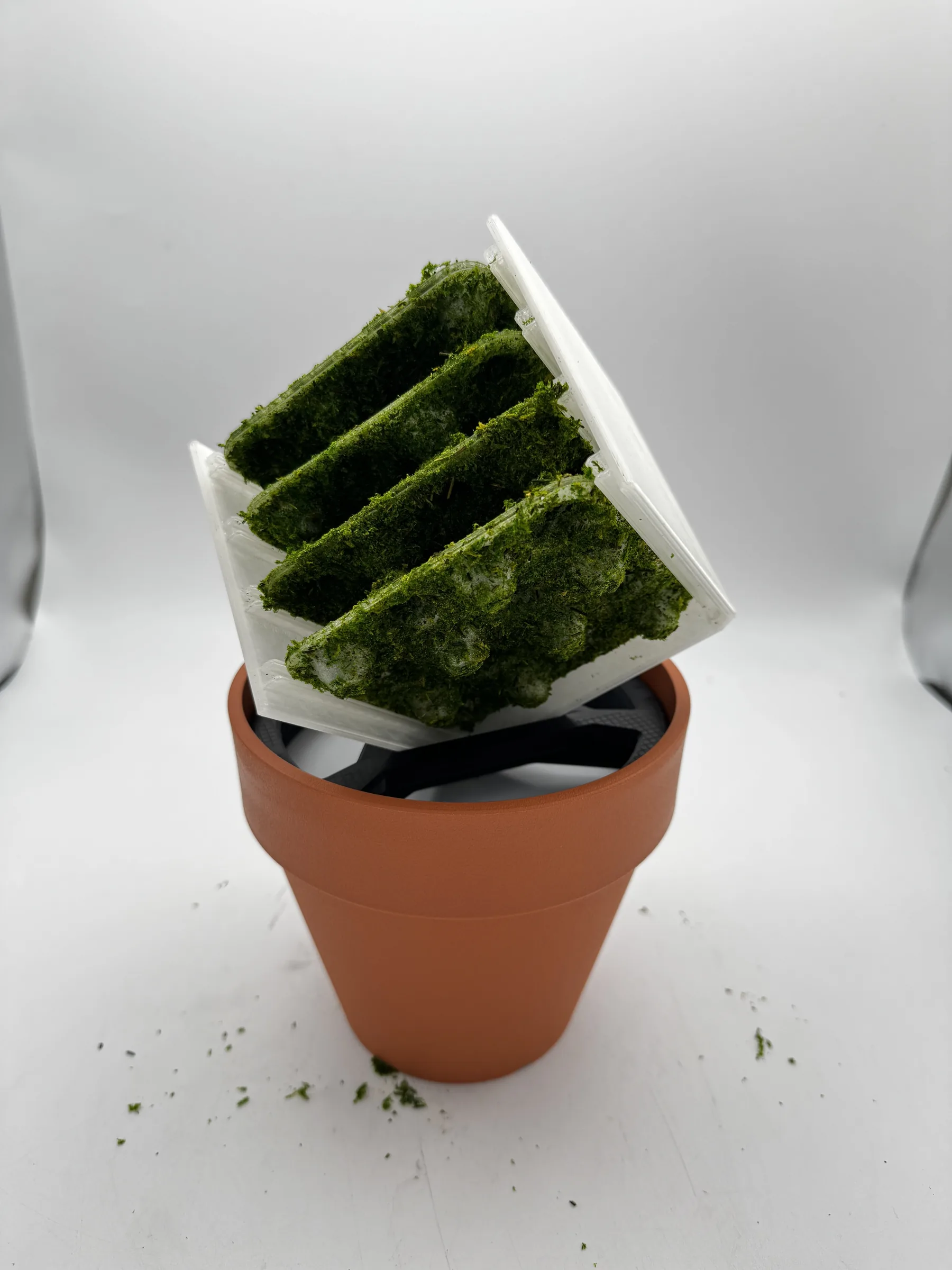 Solution render